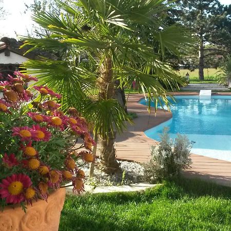 מונטובן Le Clos De Saint Amour מראה חיצוני תמונה